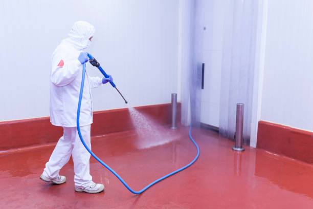 Best Patio and Deck Pressure Washing  in Commack, NY